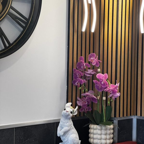 WhatsApp Image 2026-04-13 at 19.44.18 (3)